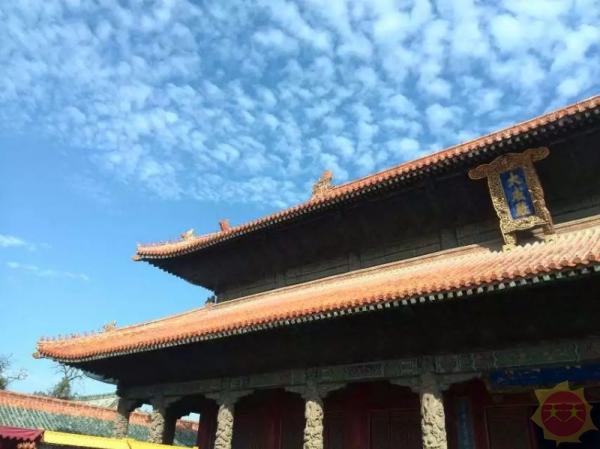 山东印象,多彩齐鲁,自然画卷