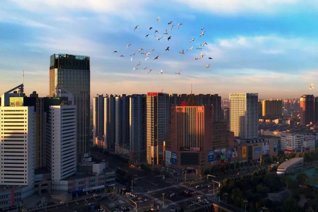 唐山科技新品发布，开启智能生活新篇章